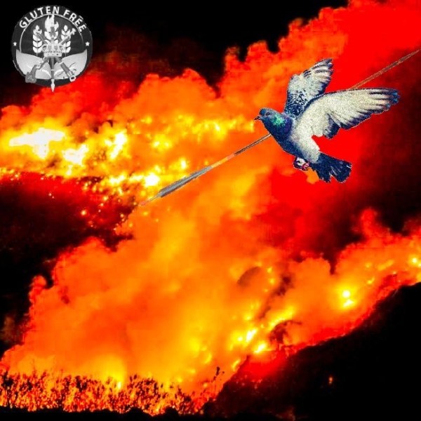 “L’ala Fosca” Chantal&nbsp;Poch